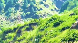 status,status video,status song,status whatsap,beast song,good song,video,natural