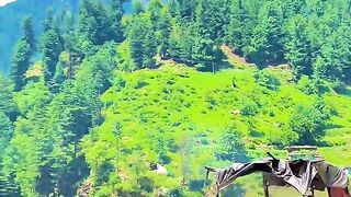 status,status video,status song,status whatsap,beast song,good song,video,natural