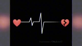 Short Videos 169