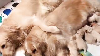 Being a mother is stressful work