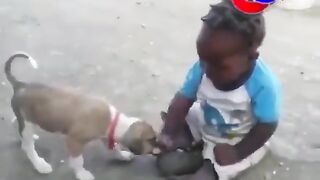Short Videos 175