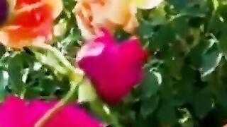 Beautiful voice Quran Majeed