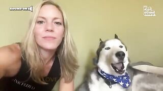 FUNNIEST Huskies ???? _ 15 Minutes Best Videos.