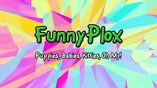 Funny_Babies