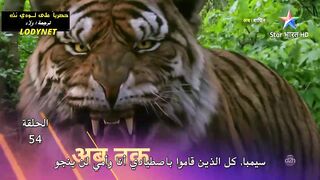 مسلسل الدراما والرعب الهندى #انثىى_النمر متجم الحلقة 54
