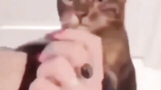 random mames compilation #1