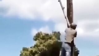 totally random on internet#1