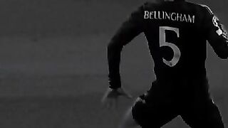 Bellingham 4