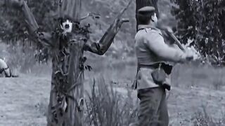 World Comedy Legend - When man is tree????__reelsvideo __shorts __Viralreels(HD