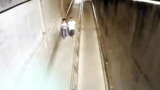 Pegadinha do pincher de três cabeças kkkkk