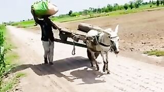 That man has very strongly missals