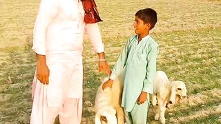 Ankh bari choti ha #flypシ #everyone #viralvideo #realfun