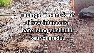 ayam broiler || kata kata lucu 596