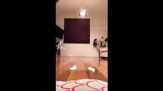 Lorsqu'ils décident de s'amuser avec leur chats
