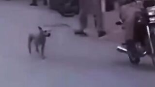 دخول تشبع ضحك {Entry full of laughter}