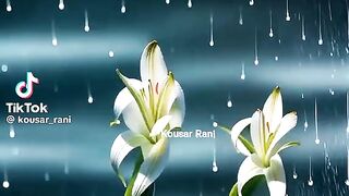Dancing flowers