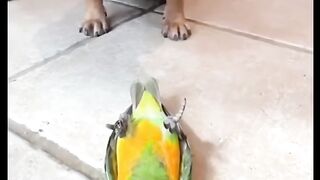 Funny video ????????# Funny #