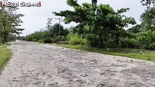 RESCUE ANAK KUCING DIBUANG DI DEKAT LAUT PENJUALAN IKAN ‼️