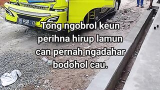 ayam broiler || kata kata lucu 602