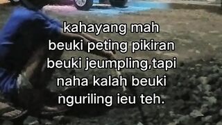 ayam broiler || kata kata lucu 603