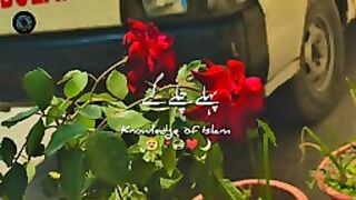 Nabi Pak ﷺ Ne Irshad Farmaya ???? New  WhatsApp Status By Peer Ajmal R_144p(2).