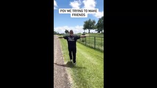 Trying to make friends