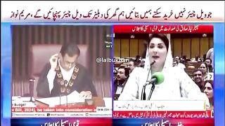 ریم نواز اسمبلی میں اپنی مشقت کا ذکر کرتے ہوئے