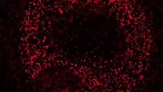 Detective Conan Episode 231 - Penumpang Misterius (Part 2)