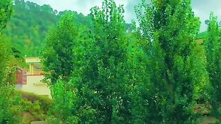 status,status video,status song,status whatsap,beast song,good song,video,natural