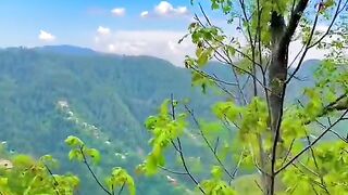 status,status video,status song,status whatsap,beast song,good song,video,natural
