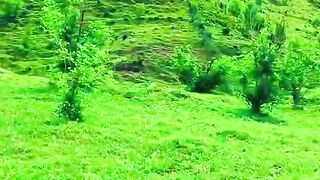 1460,status,status video,status song,status whatsap,beast song,good song,video,natural