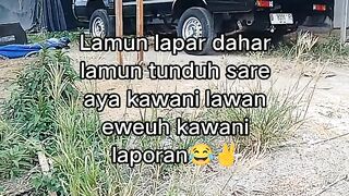 ayam broiler || kata kata lucu 607