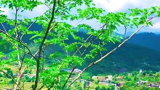 status,status video,status song,status whatsap,beast song,good song,video,natural