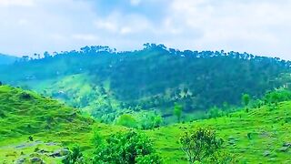 status,status video,status song,status whatsap,beast song,good song,video,natural