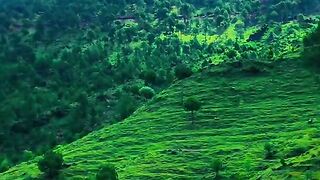 status,status video,status song,status whatsap,beast song,good song,video,natural