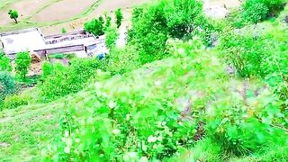1460,status,status video,status song,status whatsap,beast song,good song,video,natural