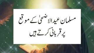 Qurbani ki himat ||Why Do Muslims Perform Qurbani on Eid? #viral || Kashaf butt