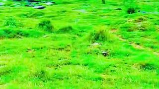 status,status video,status song,status whatsap,beast song,good song,video,natural