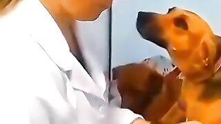 Mort de rire 7