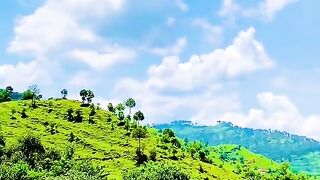 status,status video,status song,status whatsap,beast song,good song,video,natural