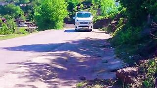 status,status video,status song,status whatsap,beast song,good song,video,natural