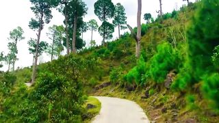 status,status video,status song,status whatsap,beast song,good song,video,natural