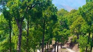 status,status video,status song,status whatsap,beast song,good song,video,natural