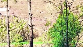 status,status video,status song,status whatsap,beast song,good song,video,natural