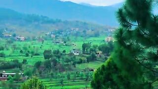 1490,status,status video,status song,status whatsap,beast song,good song,video,natural