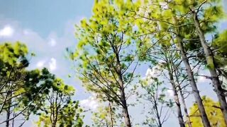 status,status video,status song,status whatsap,beast song,good song,video,natural