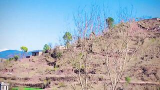 1500,status,status video,status song,status whatsap,beast song,good song,video,natural