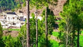 status,status video,status song,status whatsap,beast song,good song,video,natural