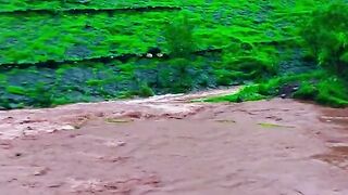 status,status video,status song,status whatsap,beast song,good song,video,natural