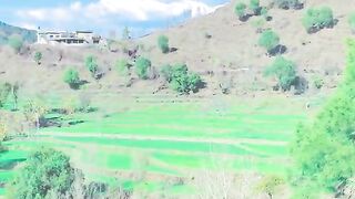 status,status video,status song,status whatsap,beast song,good song,video,natural